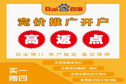 SEM服务公司成功案例解读